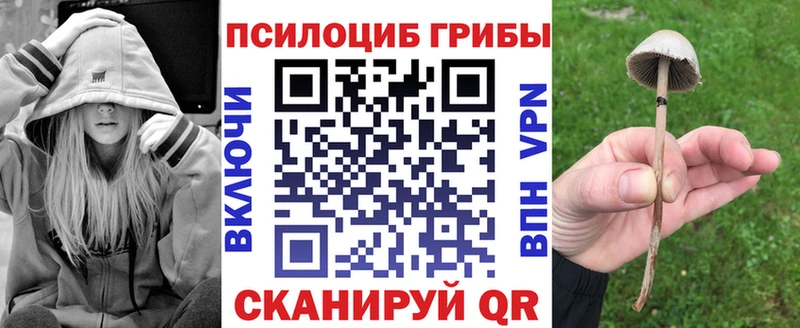 площадка Telegram  Балаково  Псилоцибиновые грибы мухоморы  MEGA ONION 